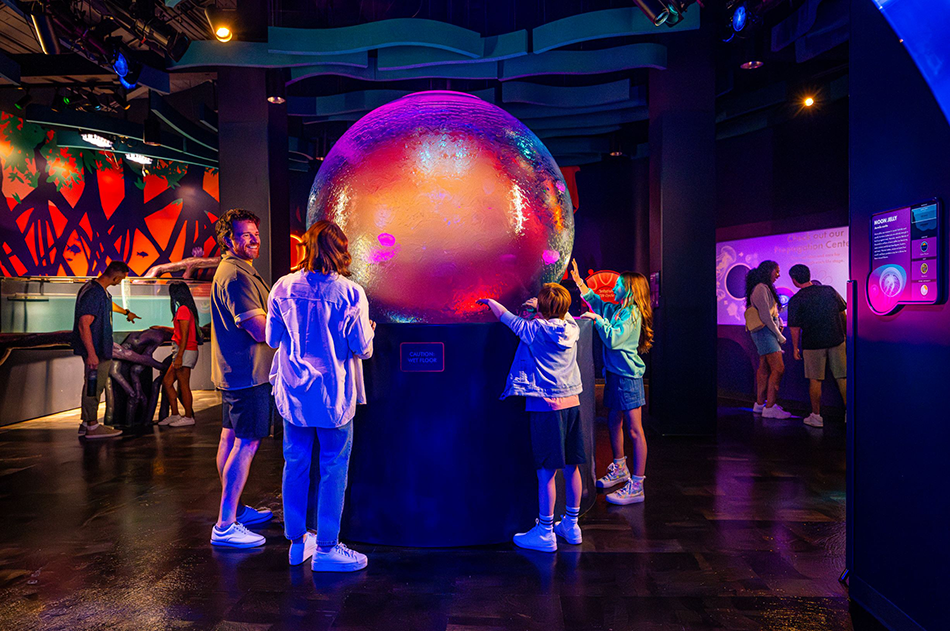 SWC Jewels Jellies Sphere Family